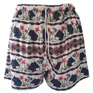 Summer Beach Shorts For Women